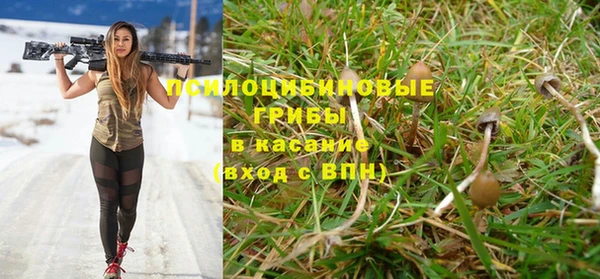 индика Лагань