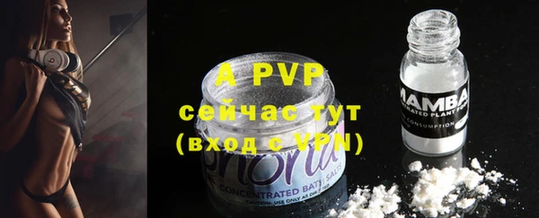 индика Лагань