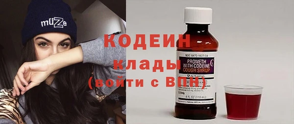 индика Лагань