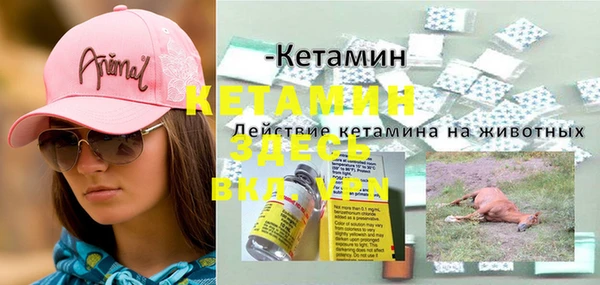индика Лагань